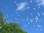 Les ballons s'envolent